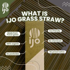 ijo grass straw IJO grass straws 100% natural, biodegradable, compostable, plastic free, eco drinking straws Pack of 100