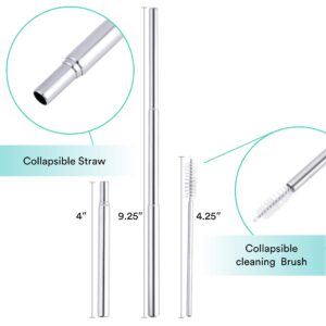 2PACK Eco-Pals | Straws Drinking Reusable Folding Straw | Stainless Steel Straw | Dishwasher Safe (Charcoal + Seafoam)