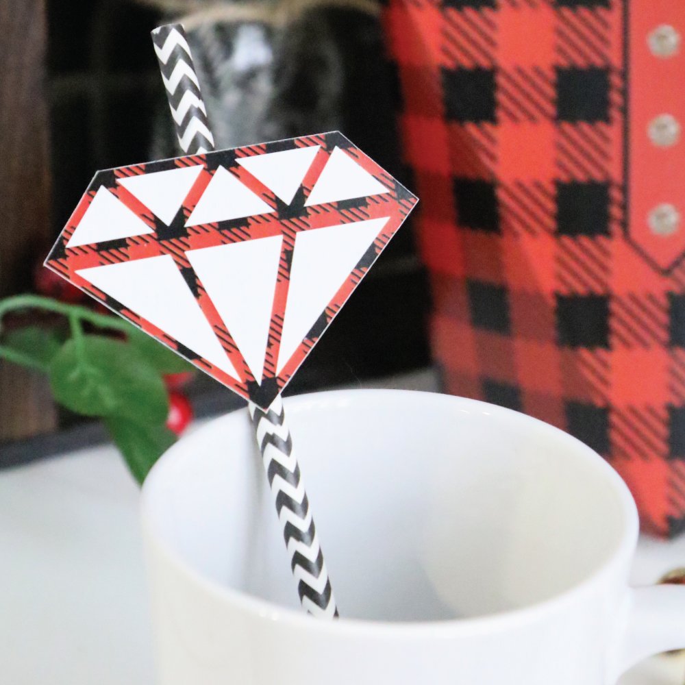 Big Dot of Happiness Flannel Fling Before the Ring - Paper Straw Decor - Buffalo Plaid Bachelorette Party Striped Decorative Straws - Set of 24
