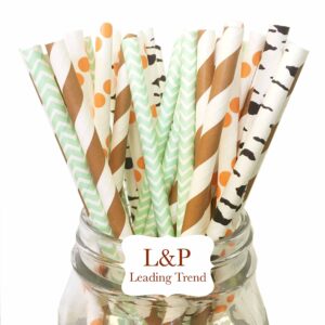 Charmed Forest Woodland Animal Theme Paper Straw in Brown Stripe Green, Orange and Ash Print