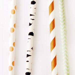 Charmed Forest Woodland Animal Theme Paper Straw in Brown Stripe Green, Orange and Ash Print