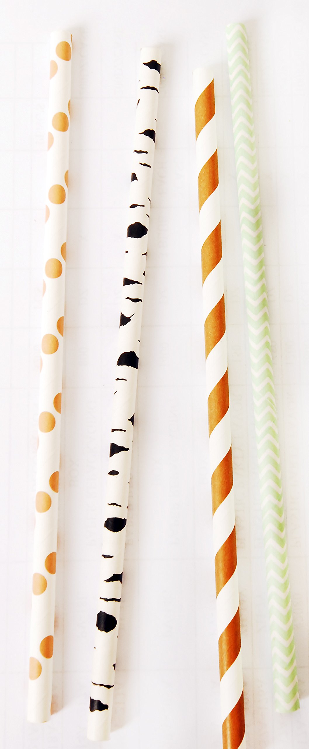 Charmed Forest Woodland Animal Theme Paper Straw in Brown Stripe Green, Orange and Ash Print