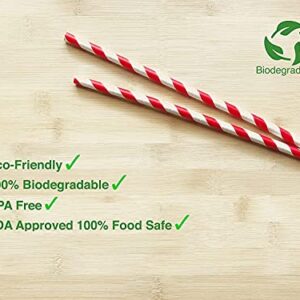 Family Home Products 7.75 inch Red & White Striped Paper Straws, Biodegradable Disposable Drinking Straws 500 Count