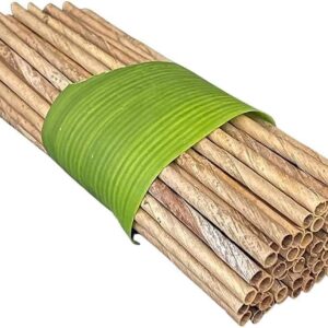 Dtocs 100 Pc. Elegant Bamboo Straw Look Coconut Leaf Disposable Straws | Long Unwrapped Biodegradable Smoothie, Cocktail, Coffee Compostable Straw Alternate to Wooden, Paper, Plastic & Reusable Straws