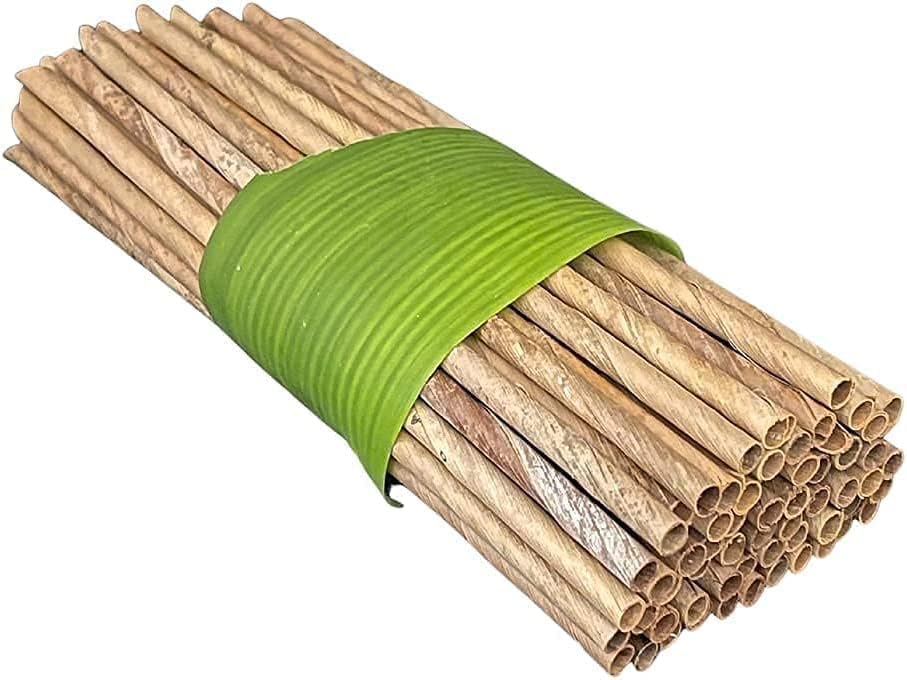 Dtocs 100 Pc. Elegant Bamboo Straw Look Coconut Leaf Disposable Straws | Long Unwrapped Biodegradable Smoothie, Cocktail, Coffee Compostable Straw Alternate to Wooden, Paper, Plastic & Reusable Straws