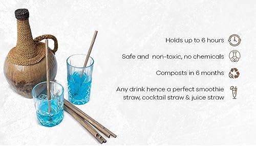 Dtocs 100 Pc. Elegant Bamboo Straw Look Coconut Leaf Disposable Straws | Long Unwrapped Biodegradable Smoothie, Cocktail, Coffee Compostable Straw Alternate to Wooden, Paper, Plastic & Reusable Straws