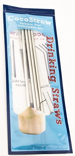 4 Stainless Steel Wide Smoothie Straws - CocoStraw Large Straight Frozen Drink Straw - 4 Pack + Cleaning Brush (4)