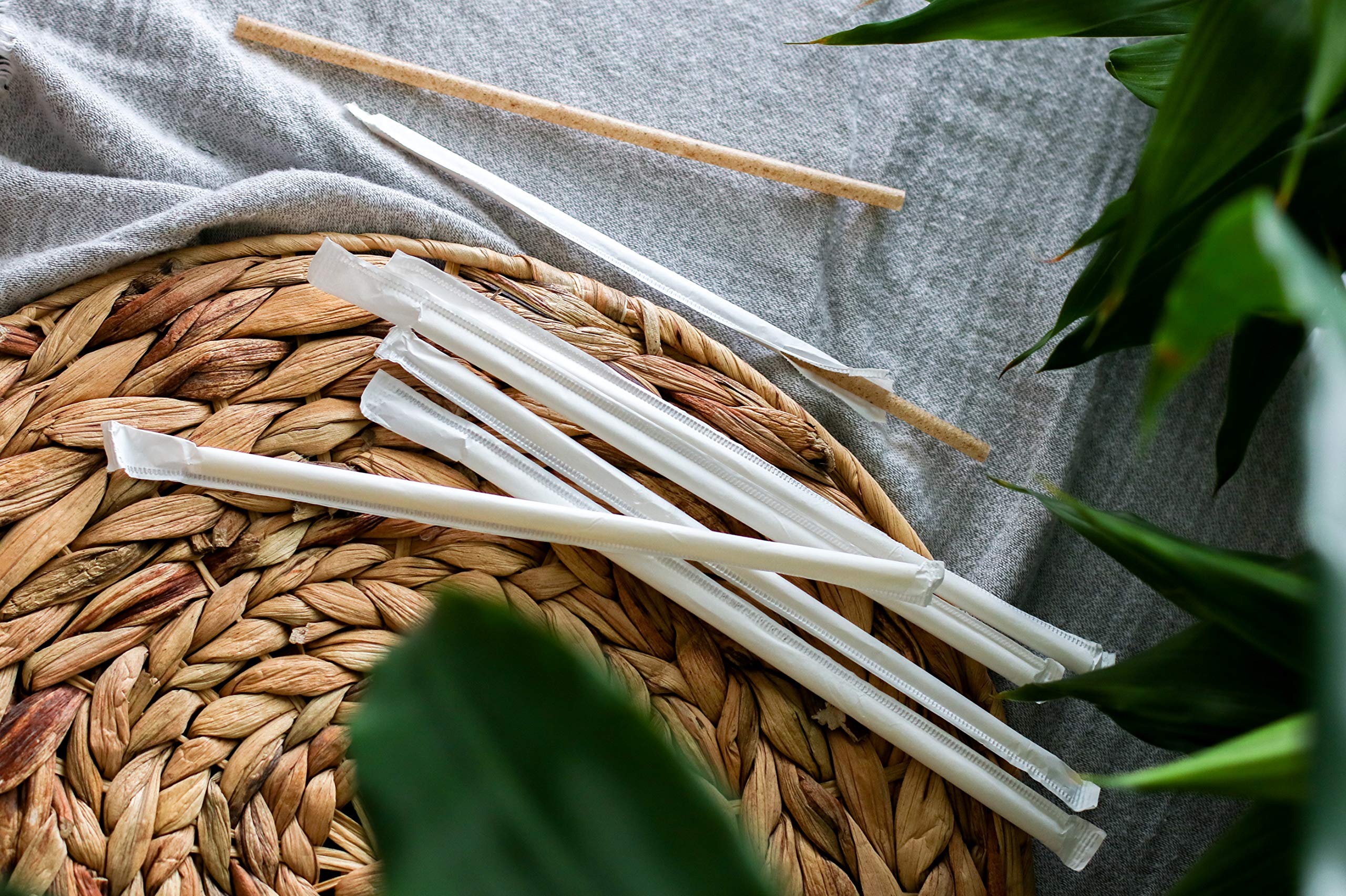 AGAVE FIBER STRAWS - 100ct Individually Wrapped Biodegradable 8.2" Straws by Ecoware. Plant Based, Eco-friendly, 100% Recyclable, Alternative to Paper & Plastic Straws