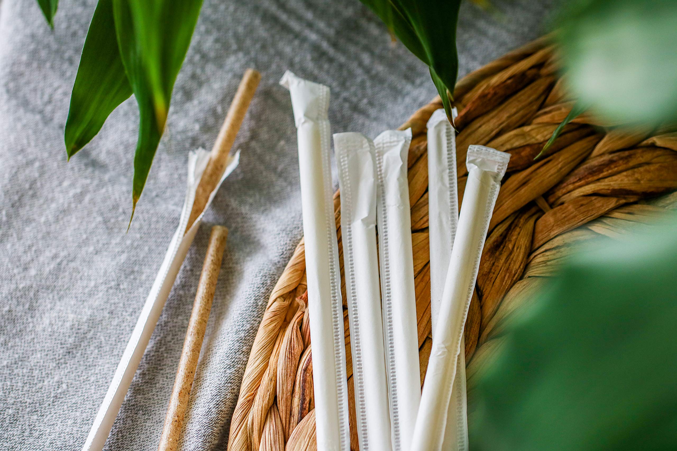 AGAVE FIBER STRAWS - 100ct Individually Wrapped Biodegradable 8.2" Straws by Ecoware. Plant Based, Eco-friendly, 100% Recyclable, Alternative to Paper & Plastic Straws