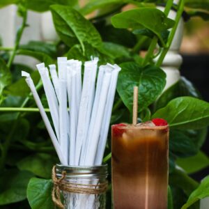 AGAVE FIBER STRAWS - 100ct Individually Wrapped Biodegradable 8.2" Straws by Ecoware. Plant Based, Eco-friendly, 100% Recyclable, Alternative to Paper & Plastic Straws