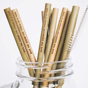 Bamboo Straws Pack of 10 - Reusable Straws With Case - Biodegradable Wooden Straws With Cleaning Brush - Eco Friendly Straws For Drinking - Organic Drinking Straws Best Alternative To Plastic