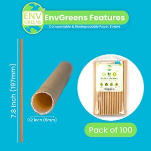 EnvGreens Biodegradable Paper Drinking Straws - 100% Eco-Friendly Compostable & Disposable Drinking Straws for Juices, Restaurants and Party supplies (100 Pack)