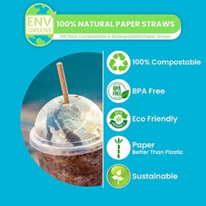 EnvGreens Biodegradable Paper Drinking Straws - 100% Eco-Friendly Compostable & Disposable Drinking Straws for Juices, Restaurants and Party supplies (100 Pack)