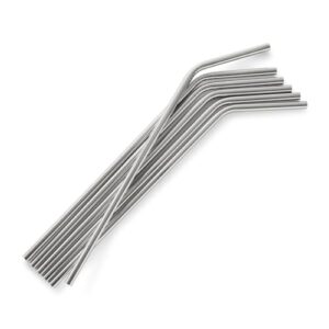 Sur La Table Stainless Steel Straws, Set of 6