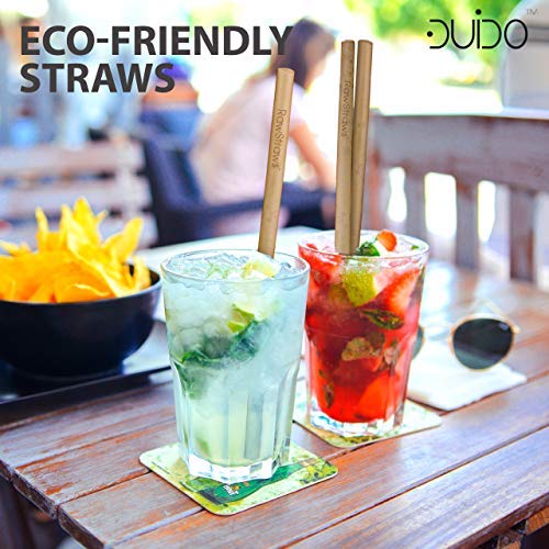 Organic Bamboo Straws Reusable - 14 Pack Eco Friendly Biodegradable Non Plastic Wood Drinking Straw (14 PACK)