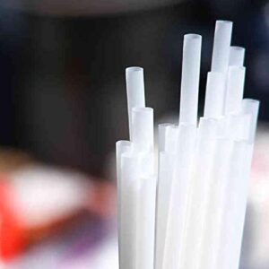 100 Compostable Straws (100)