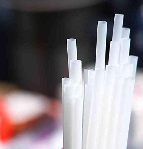 100 Compostable Straws (100)