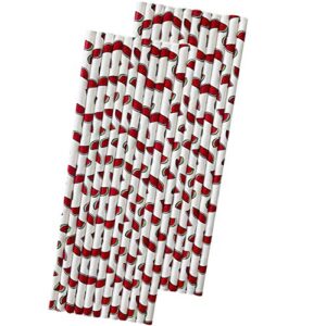 watermelon themed paper straws - red green white - 50 pack