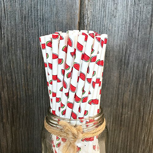 Watermelon Themed Paper Straws - Red Green White - 50 Pack
