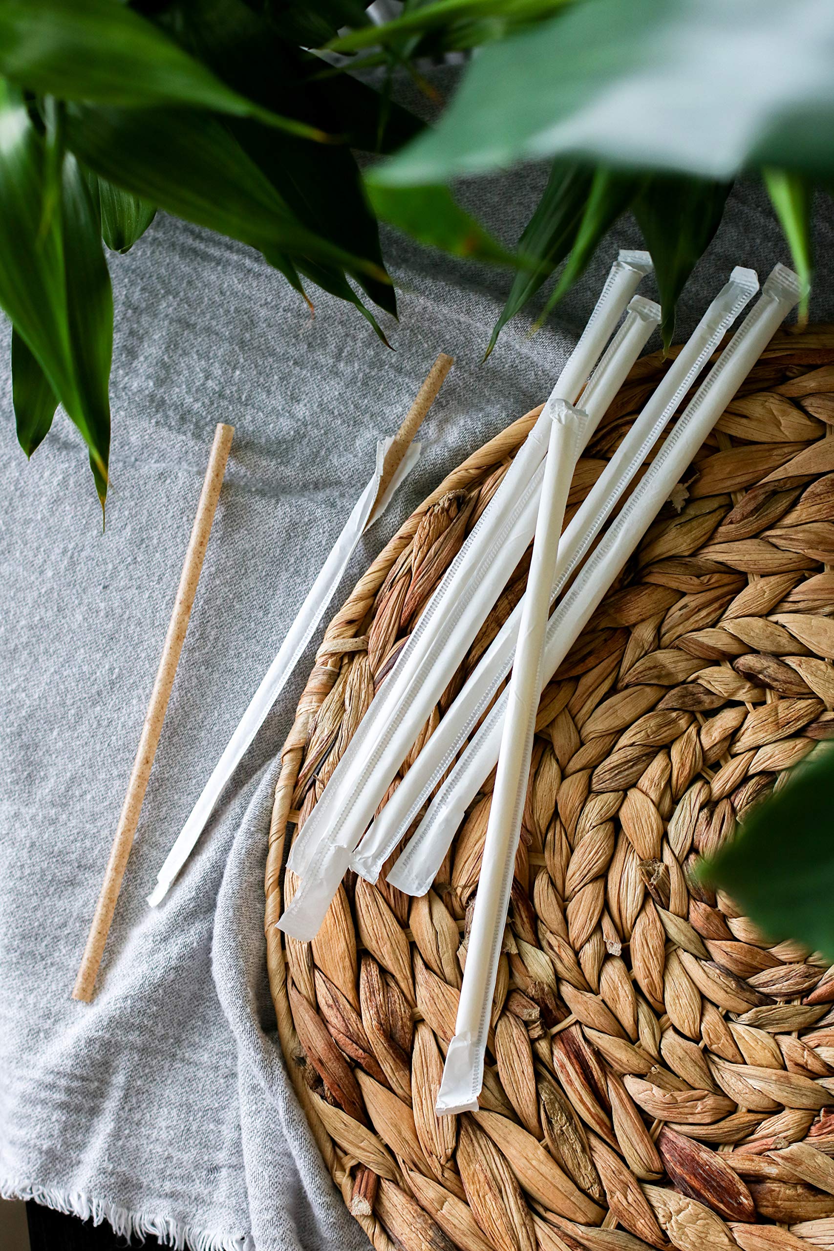 AGAVE FIBER STRAWS - 500ct Individually Wrapped Biodegradable 8.2" Straws by Ecoware. Plant Based, Eco-friendly, 100% Recyclable, Alternative to Paper & Plastic Straws