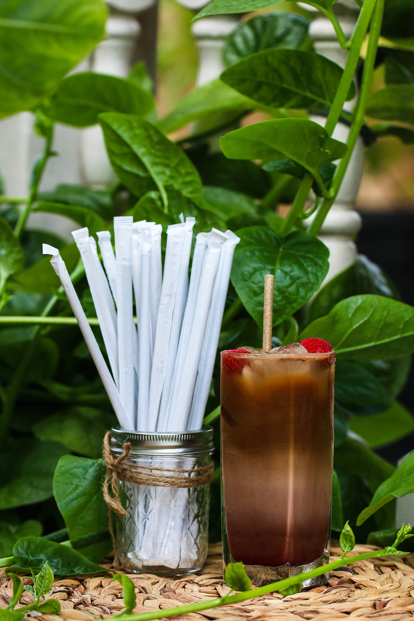 AGAVE FIBER STRAWS - 500ct Individually Wrapped Biodegradable 8.2" Straws by Ecoware. Plant Based, Eco-friendly, 100% Recyclable, Alternative to Paper & Plastic Straws