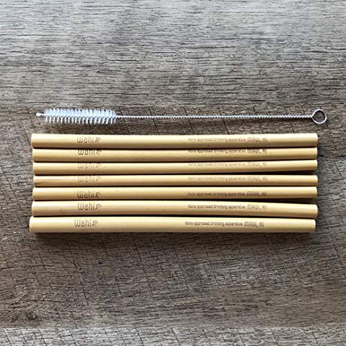 Natural Bamboo Straws (6)