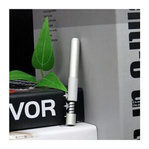 QWHOQO Portable Personalized Spring Straws for Special Party Gifts for Dads and Husbands and Friends (Silver)