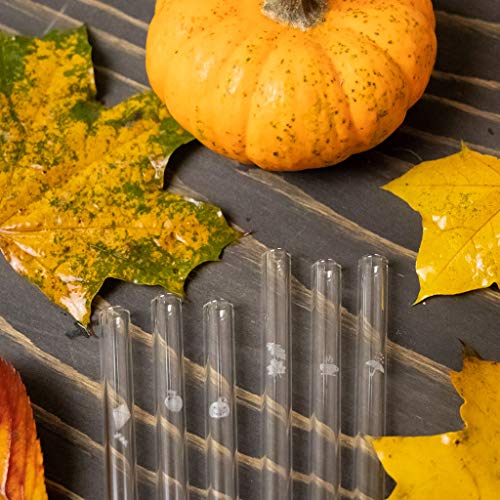 HALM Glass Straws - Autumn Edition - 6 Reusable Drinking Straws With Engraved Autumn Icons 20cm (8 in) - Leafs, Umbrella, Apple, Teacup, Kite, Pumpkin - Made in Germany - Dishwasher Safe