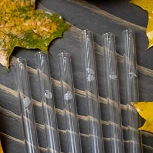 HALM Glass Straws - Autumn Edition - 6 Reusable Drinking Straws With Engraved Autumn Icons 20cm (8 in) - Leafs, Umbrella, Apple, Teacup, Kite, Pumpkin - Made in Germany - Dishwasher Safe