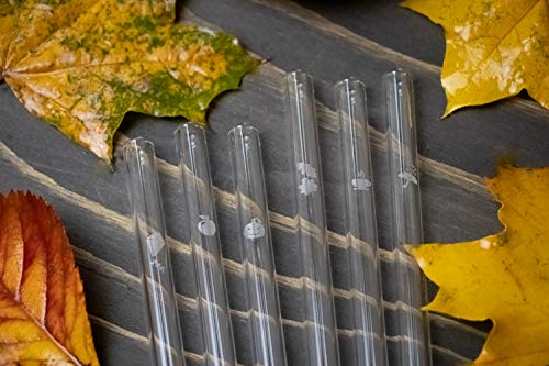 HALM Glass Straws - Autumn Edition - 6 Reusable Drinking Straws With Engraved Autumn Icons 20cm (8 in) - Leafs, Umbrella, Apple, Teacup, Kite, Pumpkin - Made in Germany - Dishwasher Safe