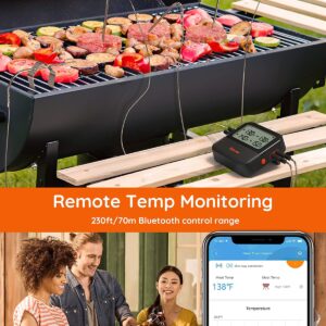 Govee Wireless Meat Thermometer, Bluetooth Meat Thermometer for Smoker Oven, Digital Grill Thermometer with 4 Probes, Remote App Timer Mode, Smart BBQ Thermometer for Cooking Turkey Fish Beef