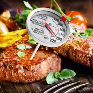 2 Pack KT THERMO Meat Cooking Thermometer 2.5 Inch Dial Stainless Steel Waterproof and Oven Safe BBQ Poultry Probe Cooking Thermometers (2)