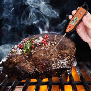 Meat Food Thermometer, Digital Milk Thermometer, Candy Candle Thermometer, Cooking Kitchen BBQ Grill Thermometer, Probe Instant Read Thermometer for Liquids Deep Fry Roast Baking Temperature