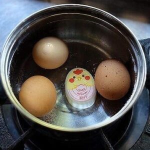 Tk Concept Boiled Egg Timer