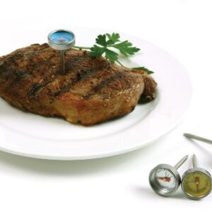 Norpro Mini Steak Thermometers, Set of 4, Silver