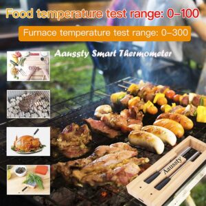 Smart Wireless Meat Thermometer Digital Bluetooth Food Meat Probe for Cooking Assisted Oven, Grill, Kitchen, BBQ, Smoker, Rotisserie (2 Probes)