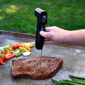 Razor Infrared Thermometer with Instant Food Probe