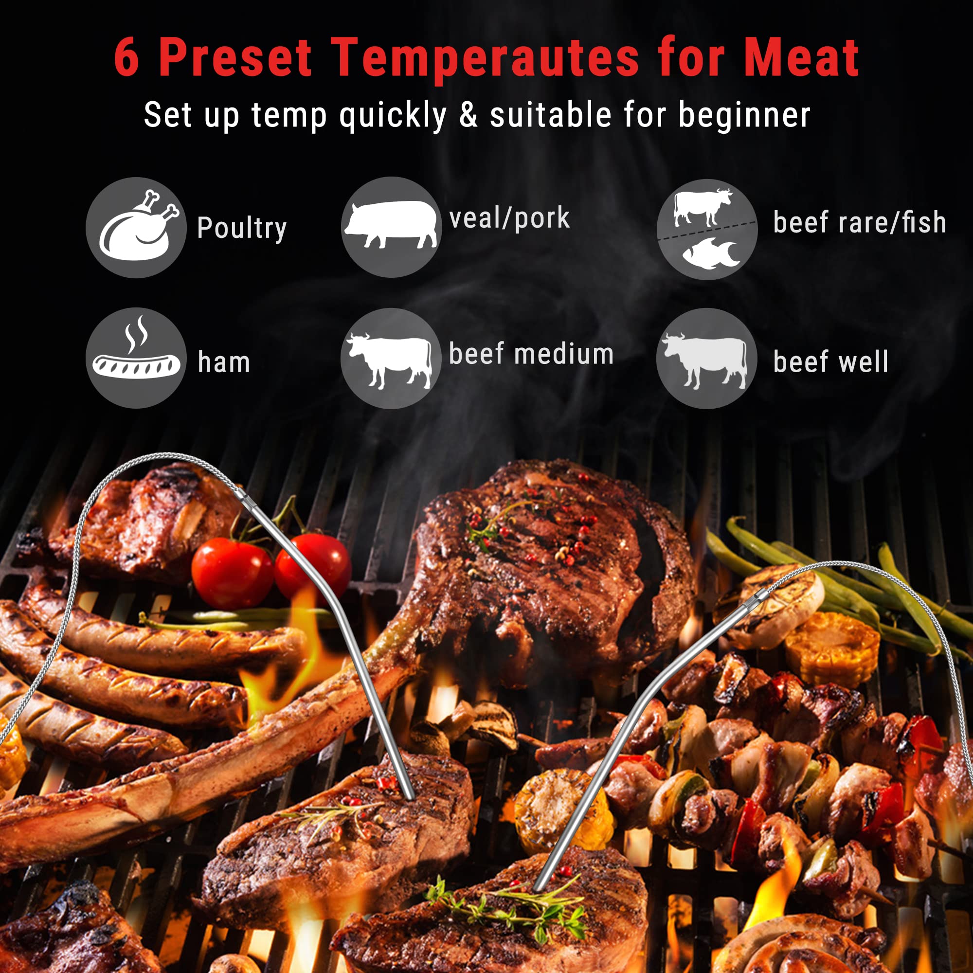 TempPro G17 Meat Thermometer for Oven Cooking Smoker Grilling Kitchen BBQ Dual Probe Digital Grill Thermometer with Large LCD Backlight Timer Mode