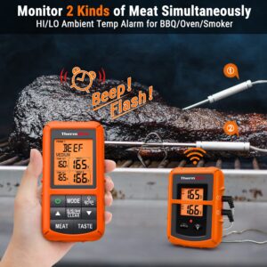 ThermoPro TP20 Wireless Meat Thermometer +ThermoPro TP99 Hard Carrying Case Storage