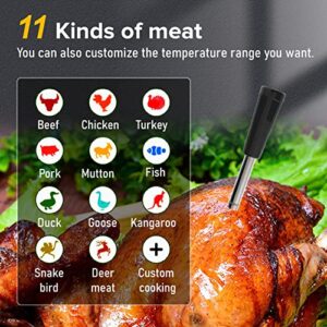 Kt Thermo Digital Meat Cooking Thermometer with 195ft Bluetooth Wireless Range/Mobile Phone Connection/Smart APP/for Cooking and Grilling/Probe Type