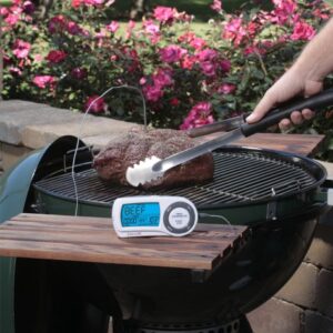 Taylor Gourmet Wireless Remote Thermometer