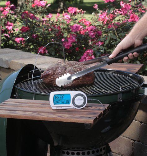 Taylor Gourmet Wireless Remote Thermometer