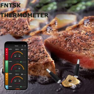 Fntsk Bluetooth Wireless Meat Thermometer, Smart Meat Thermometer 165ft Long Range for Oven, Kitchen, Grilling, Smokers, BBQ, Rotisserie (2 Probes)