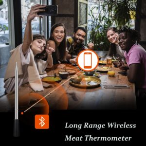 Fntsk Bluetooth Wireless Meat Thermometer, Smart Meat Thermometer 165ft Long Range for Oven, Kitchen, Grilling, Smokers, BBQ, Rotisserie (2 Probes)