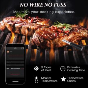 Fntsk Bluetooth Wireless Meat Thermometer, Smart Meat Thermometer 165ft Long Range for Oven, Kitchen, Grilling, Smokers, BBQ, Rotisserie (2 Probes)