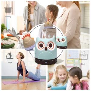 Cartoon Owl Chick Mechanical Timers 60 Minutes Kitchen Cooking Timer Clock Loud Alarm Counters Mini Size Manual No Batteries Required, 100% Mechanical - Magnetic Backing, Timer for Study. (Owl)