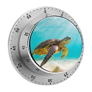 kitchen timer blue turtle cooking timer no batteries required magnetic countdown/up clock