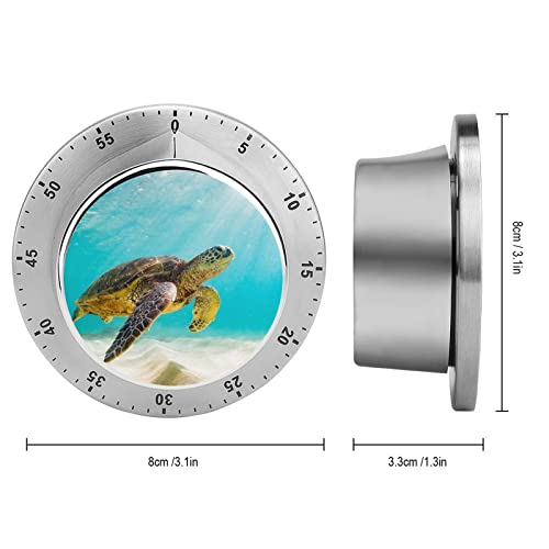 Kitchen Timer Blue Turtle Cooking Timer No Batteries Required Magnetic Countdown/Up Clock