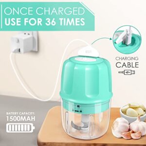 Rechargeable Portable and Cordless Mini Food Processor 250ML with Stainless Steel Blade, Electric Garlic Chopper Vegetable Chopper Blender for Nuts Chili Onion Minced Meat and Spices BPA-Free(Green)