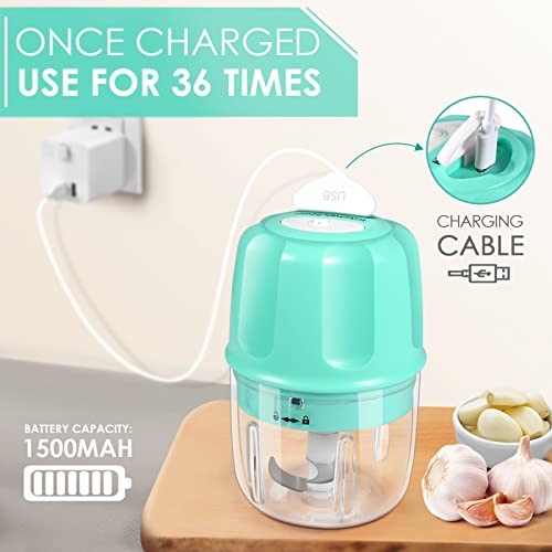 Rechargeable Portable and Cordless Mini Food Processor 250ML with Stainless Steel Blade, Electric Garlic Chopper Vegetable Chopper Blender for Nuts Chili Onion Minced Meat and Spices BPA-Free(Green)